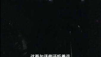 斗鲨在线播放,惊心动魄的海洋对决