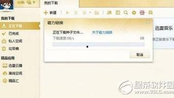 2017无码 迅雷磁力,独家揭秘