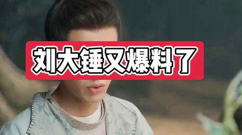 刘大锤爆料三代视频,三代视频背后的惊人真相