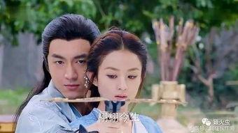 楚乔传第42免费观看,风云变幻，命运抉择