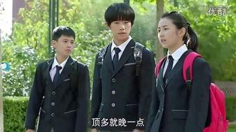 小别离全集在线观看免费,揭秘家庭教育的温馨故事