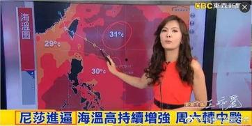 无码护士下番号,揭开神秘面纱的背后故事