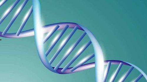 dna鉴定 日本,DNA鉴定技术助力日本犯罪侦查与身份确认