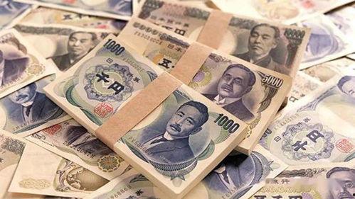 日本丁克比例,高比例背后的社会变迁与挑战