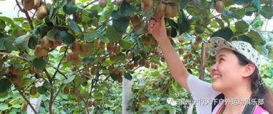 日本电影 红鳟鱼,探寻日本传统渔业文化的传承与变迁