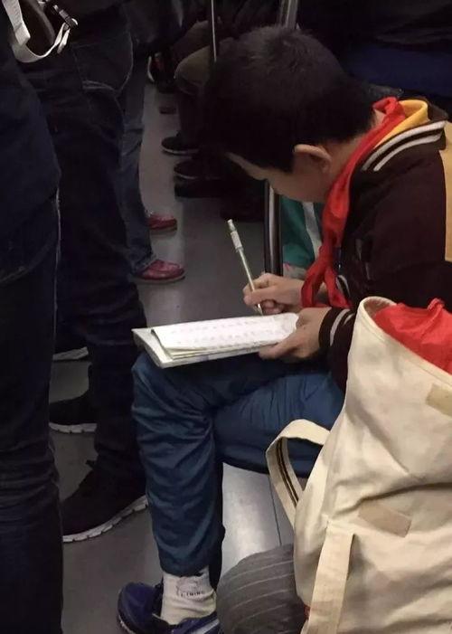 GV视频高清无码 下载,探索高清无码GV视频的下载奥秘